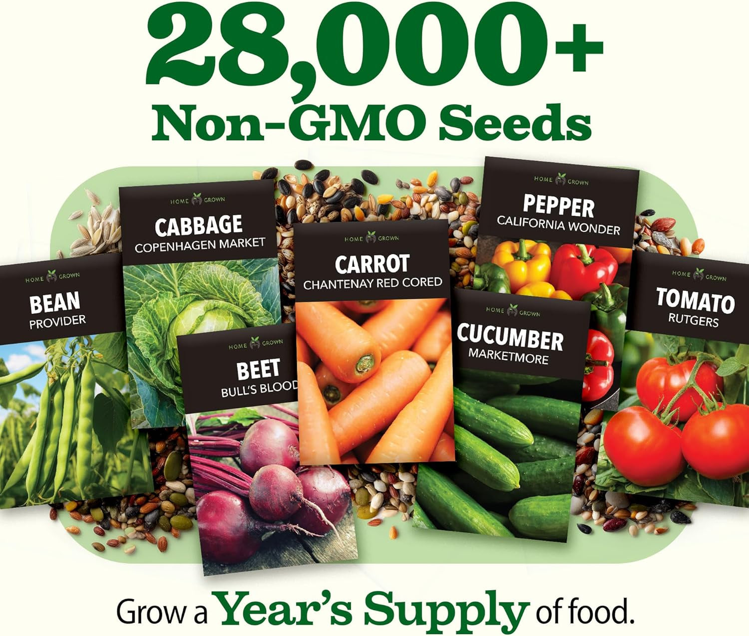 55 Vegetable Seeds Pack – 28,000+ 𝗨𝗦𝗔 Heirloom 𝗡𝗢𝗡-𝗚𝗠𝗢 Seeds for Planting – Spring, Fall, Winter Garden Kit – Survival Seed Vault for Preppers & Gardeners – Gift for Men & Women